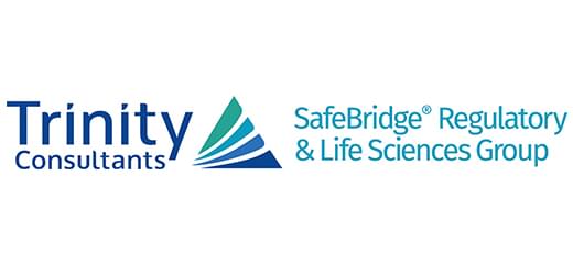 SafeBridge Consultants, Inc